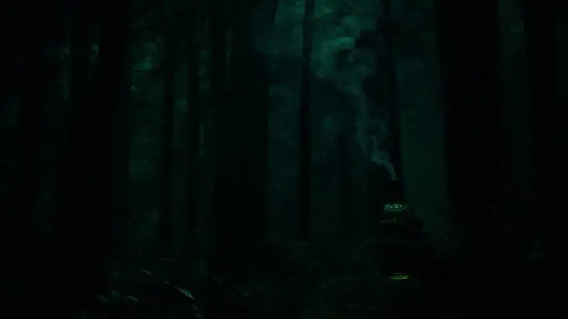 Bosque oscuro y misterioso