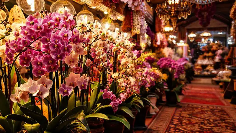 Flores exóticas y lujo en el mercado