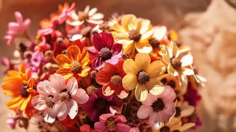 Flores secas evocan un encanto vintage
