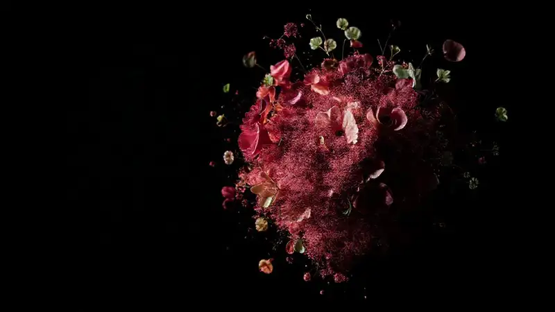 Perfume oscuro