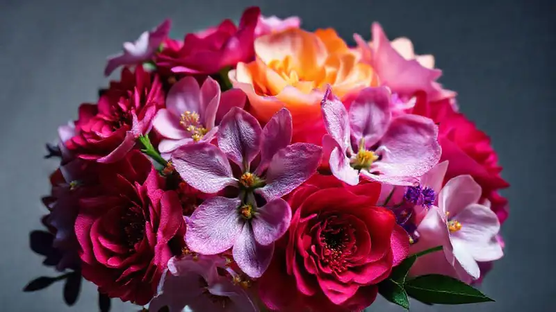 Un ramo floral captura belleza elegante
