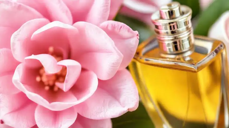 Gardenia elegante exala lujo y perfume