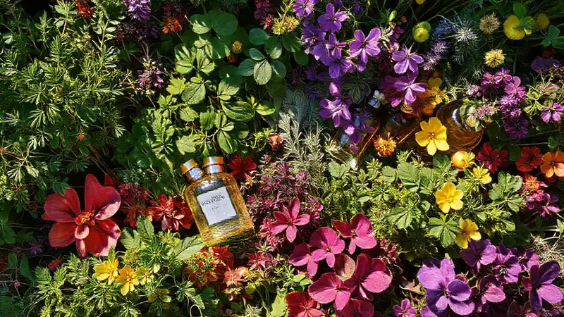 Jardín herbáceo y sereno
