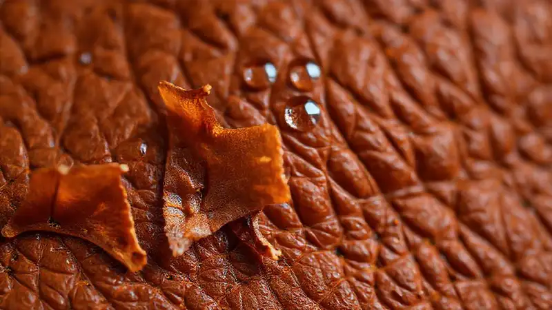 Textura de cuero