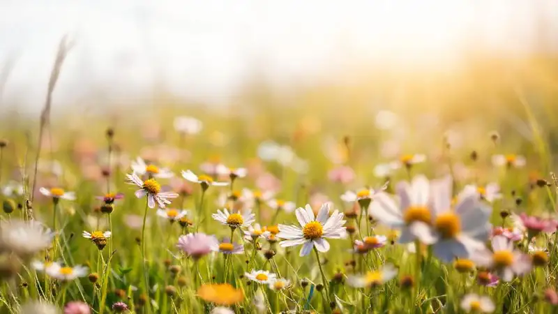 Un pastel de flores